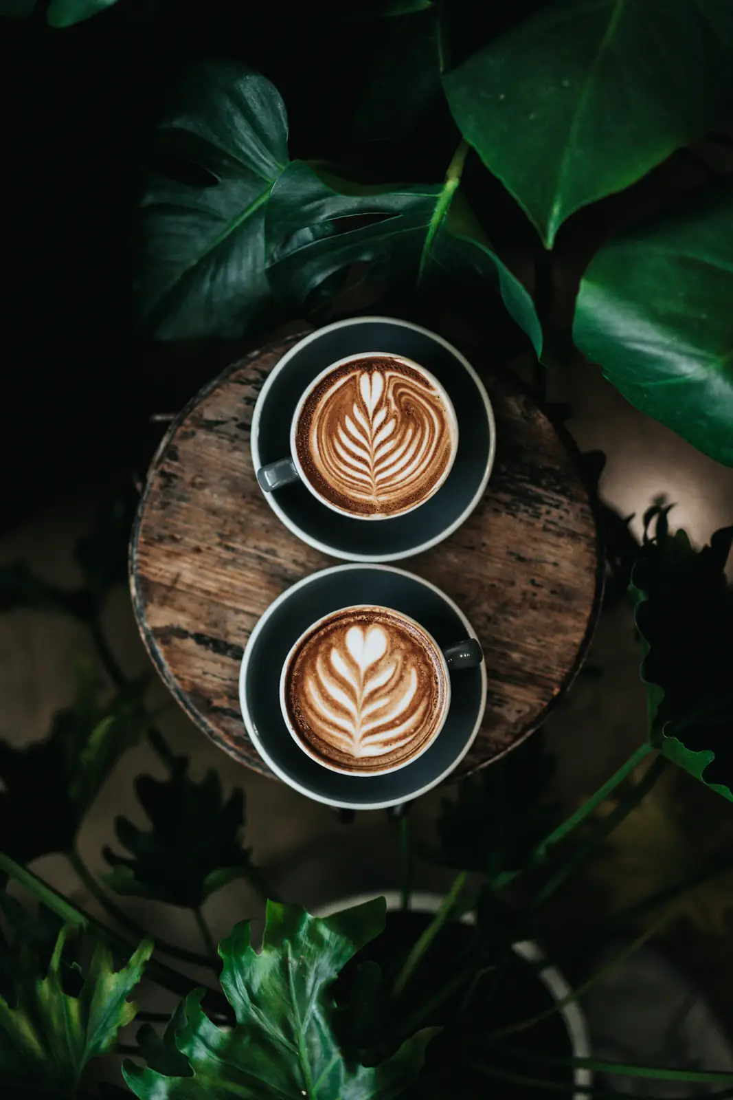 Dos tazas de café con arte latte sobre una tabla de madera, rodeadas de hojas verdes
